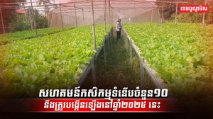 វិស័យកសិកម្ម