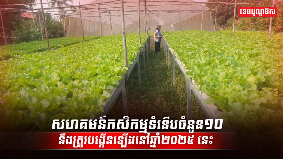 វិស័យកសិកម្ម
