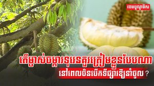 វិស័យកសិកម្ម