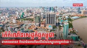 វិស័យកាត់ដេរ