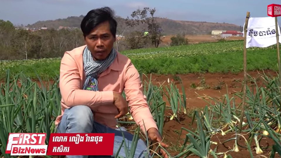 លោក លឿង វ៉ានថុន ជាកសិករដែលដាំខ្ទឹមបារាំងបានជោគជ័យដំបូងគេ នៅខេត្តមណ្ឌលគិរី