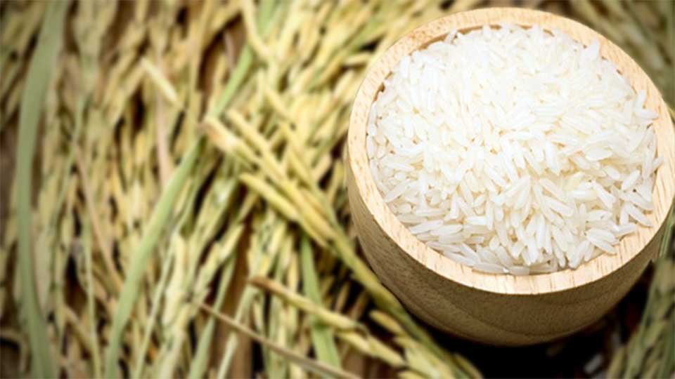 ហ្វ៊ីលីពីន ឈរ​តំណែង​ជា​ប្រទេស​នាំចូល​អង្ករ​ច្រើន​ជាង​គេ​បំផុត ក្នុង​ពិភពលោក​ឆ្នាំ​២០១៩។