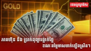 ភាគហ៊ុន និងប្រាក់ដុល្លារធ្លាក់ថ្លៃ