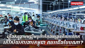 វិស័យការងារ