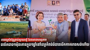 ដំណាំស្វាយចន្ទី