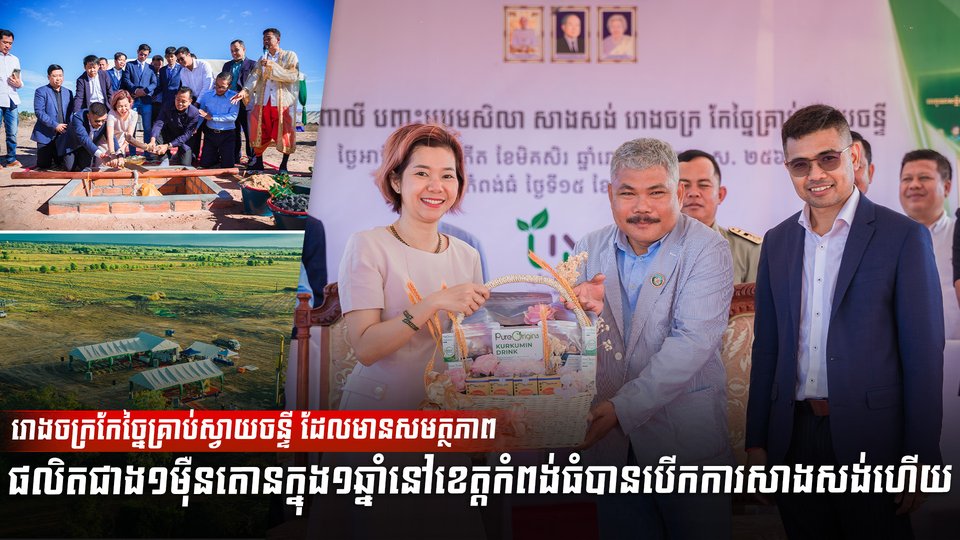 ដំណាំស្វាយចន្ទី