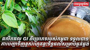 ផលិតផល​ GI​
