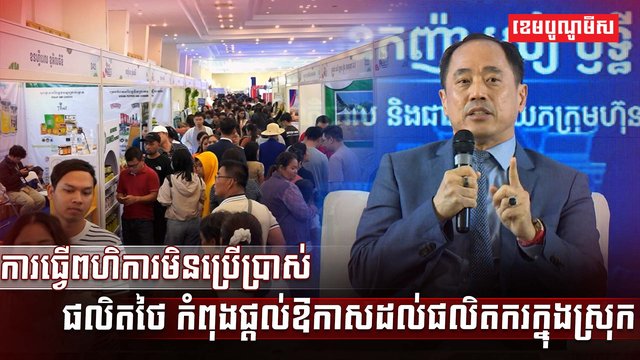 វិស័យ SME
