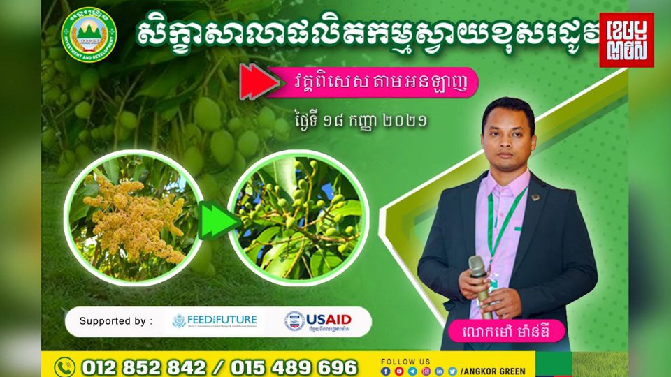 សិក្ខាសាលាផលិតកម្មស្វាយខុសរដូវ ដែលរៀបចំឡើងដោយក្រុមហ៊ុនអង្គរហ្គ្រីន កាលពីពេលកន្លងទៅ