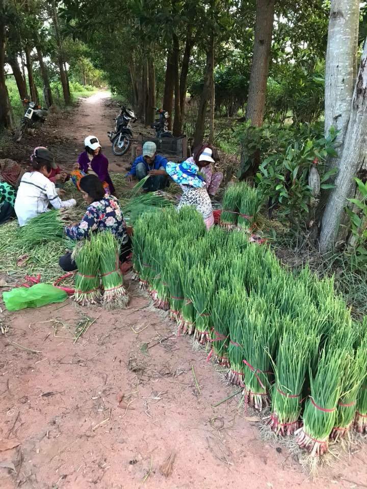 កសិករ