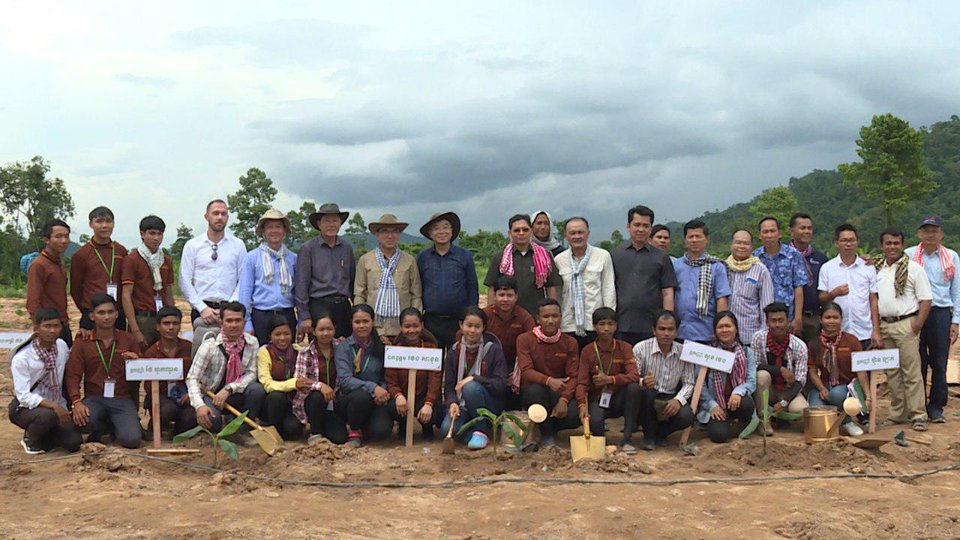 កម្ពុជារំពឹងនាំចេញចេកអំបូងលឿងទៅចិន លើកដំបូង៣ម៉ឺនតោននៅដើមឆ្នាំ ២០១៩
