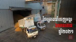 ថៃ ដាក់គោលដៅនាំចេញអង្ករ៦លានតោន នៅឆ្នាំនេះ