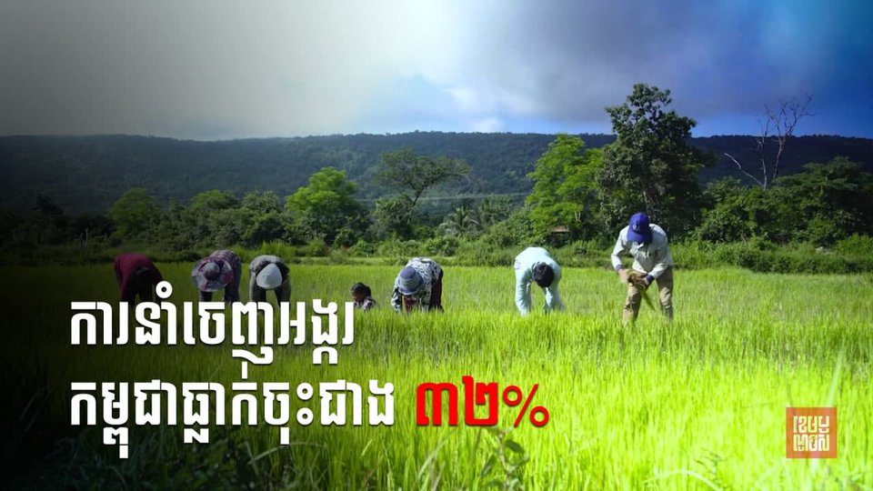 ការនាំចេញអង្ករកម្ពុជាធ្លាក់ចុះជាង ៣០% ដោយសារតម្លៃដឹកជញ្ជូនឡើង១គុណនឹង៥ នៅខែមករា