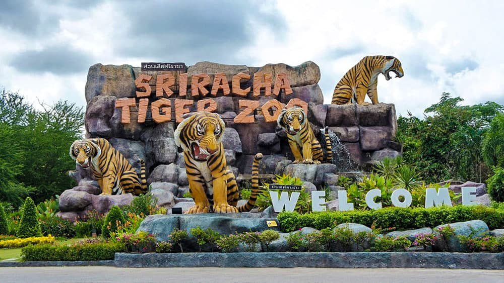 សួនសត្វ Sriracha Tiger ដ៏ធំមួយរបស់ថៃ (http://www.befreetour.com)