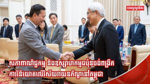 វិស័យវាយនភ័ណ្ឌ