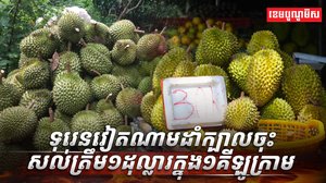 ដំណាំទុរេន