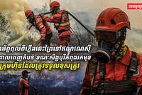 ផ្សែងអ័ព្ទពុលពីភ្លើងឆេះព្រៃនៅឥណ្ឌូណេស៊ី_រាលដាsdasdas12312312asdasdadsaវ
