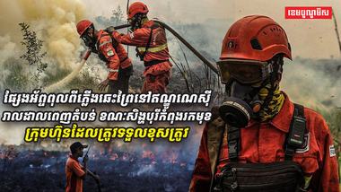 ផ្សែងអ័ព្ទពុលពីភ្លើងឆេះព្រៃនៅឥណ្ឌូណេស៊ី_រាលដាsdasdas12312312asdasdadsaវ