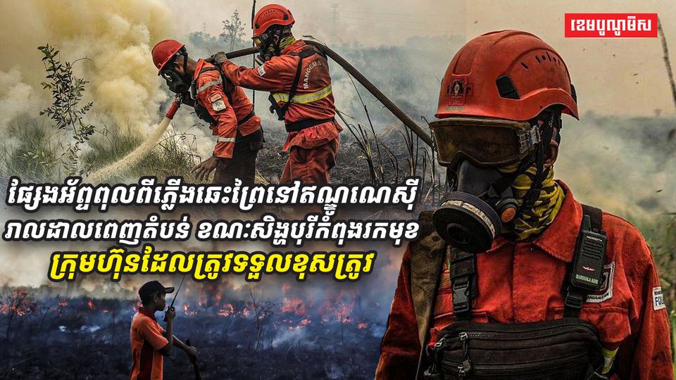 ផ្សែងអ័ព្ទពុលពីភ្លើងឆេះព្រៃនៅឥណ្ឌូណេស៊ី_រាលដាsdasdas12312312asdasdadsaវ