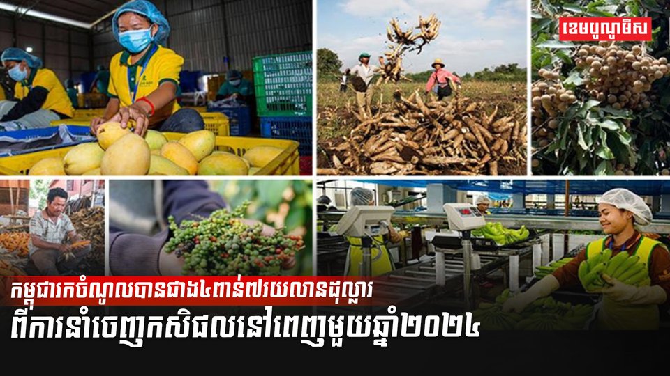 ការនាំចេញ