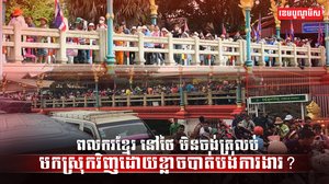 វិស័យការងារ