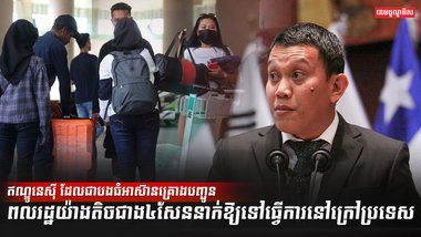 វិស័យការងារ