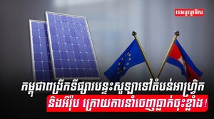 វិស័យពាណិជ្ជកម្ម