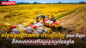 វិស័យស្រូវ-អង្ករ