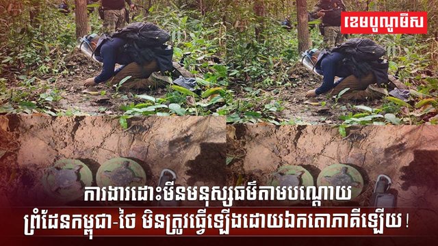 វិស័យការពារជាតិ