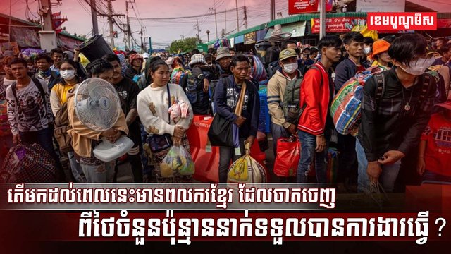 វិស័យការងារ