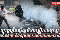 ព្យុះដូហ្វីន