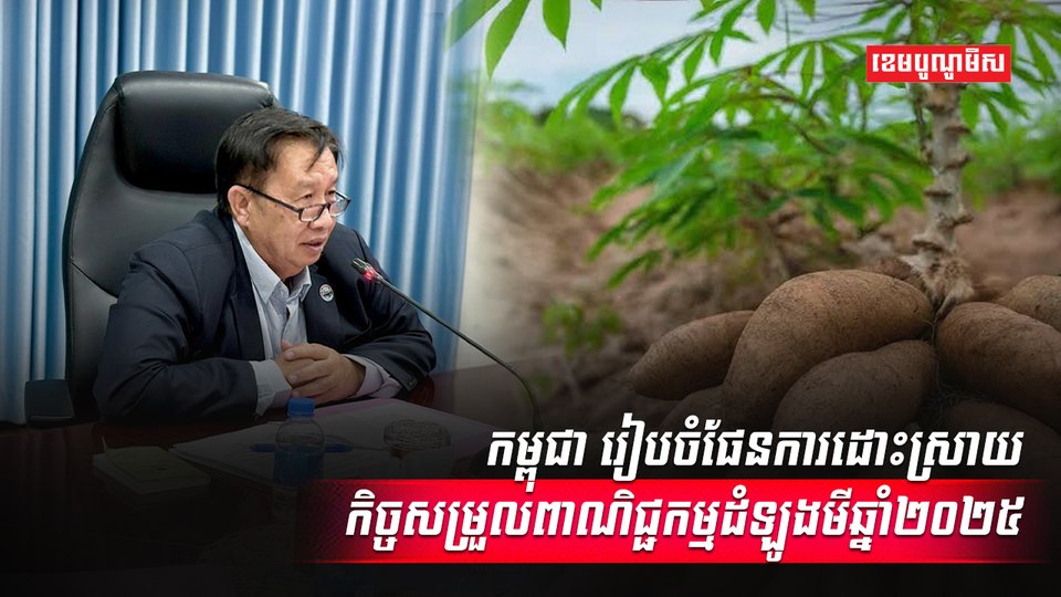 ទីផ្សារដំឡូងមី
