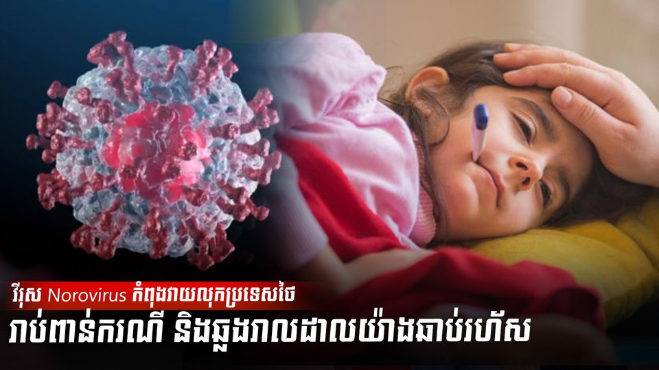 វីរុស Norovirus