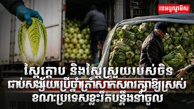 ស្ពៃក្តោប