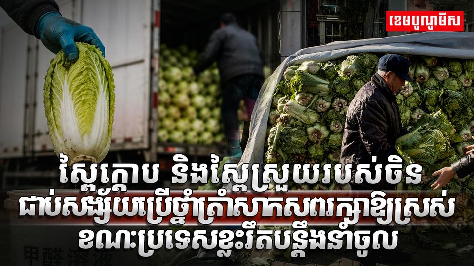 ស្ពៃក្តោប