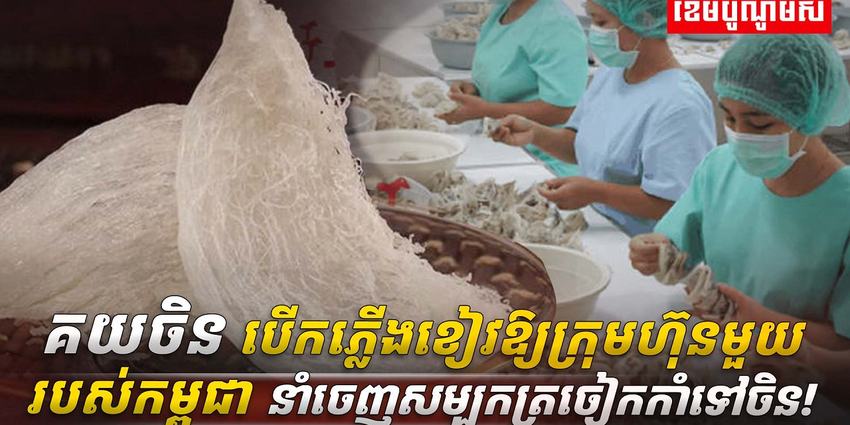 សម្បុកត្រចៀកកាំ