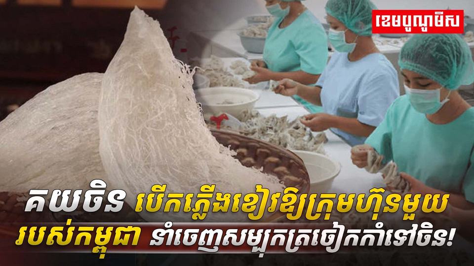 សម្បុកត្រចៀកកាំ