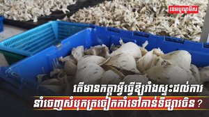សំបុកត្រចៀកកាំ
