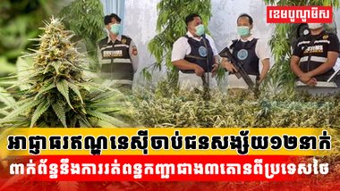 រត់ពន្ធកញ្ឆាជាង៣តោនពីប្រទេសថៃ