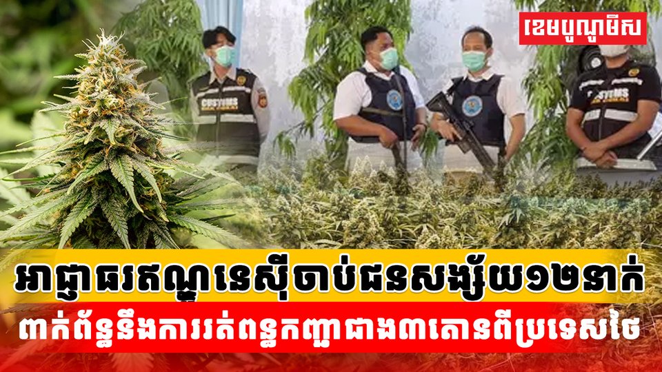 រត់ពន្ធកញ្ឆាជាង៣តោនពីប្រទេសថៃ