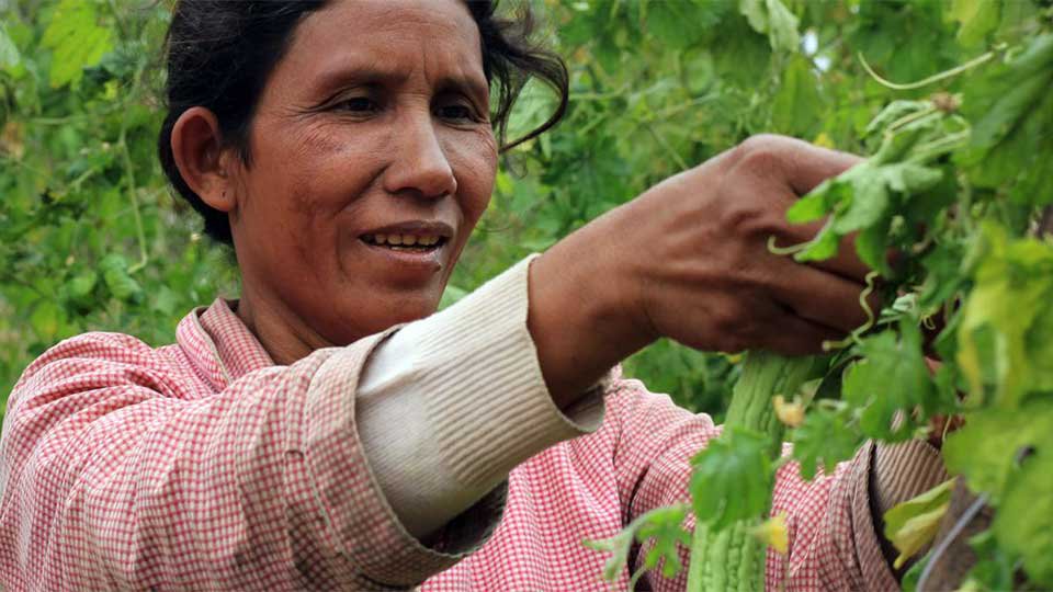 អង្គការ​ Oxfam ថា ពលរដ្ឋ​ខ្មែរ​ក្រីក្រ​បំផុត​អាច​សន្សំ​ប្រាក់​បាន ៦៦​ដុល្លារ​ក្នុង​មួយ​ឆ្នាំ។ រូបភាព៖ Oxfam