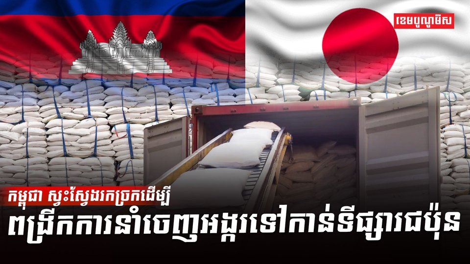វិស័យស្រូវ អង្ករ