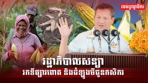 រដ្ឋាភិបាលសន្យាជួយរកទីផ្សារពោត