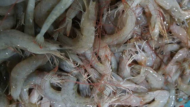 កម្ពុជា​ស្នើ​សុំ​ឲ្យ​សហភាព​អឺរ៉ុប​ដក​ការ​ហាមប្រាម​លើ​ការ​នាំ​ចូល​​ជល​ផល​សមុទ្រ​កម្ពុជា ទៅ​ផ្សារ​សហភាព​អឺរ៉ុប។