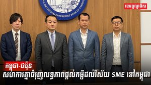 វិស័យ SME