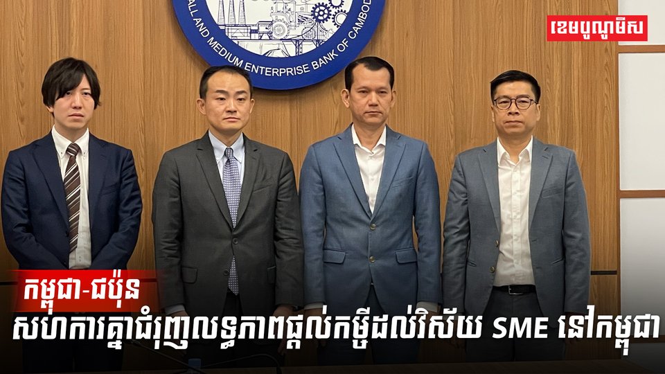 វិស័យ SME