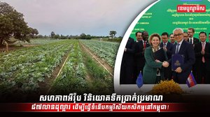 វិស័យដឹកជញ្ជូន