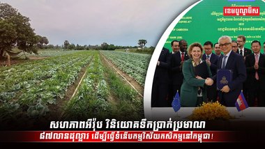វិស័យដឹកជញ្ជូន