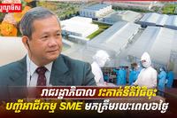 អាជីវកម្ម SME