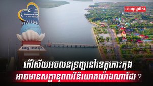 វិស័យអចលនទ្រព្យ